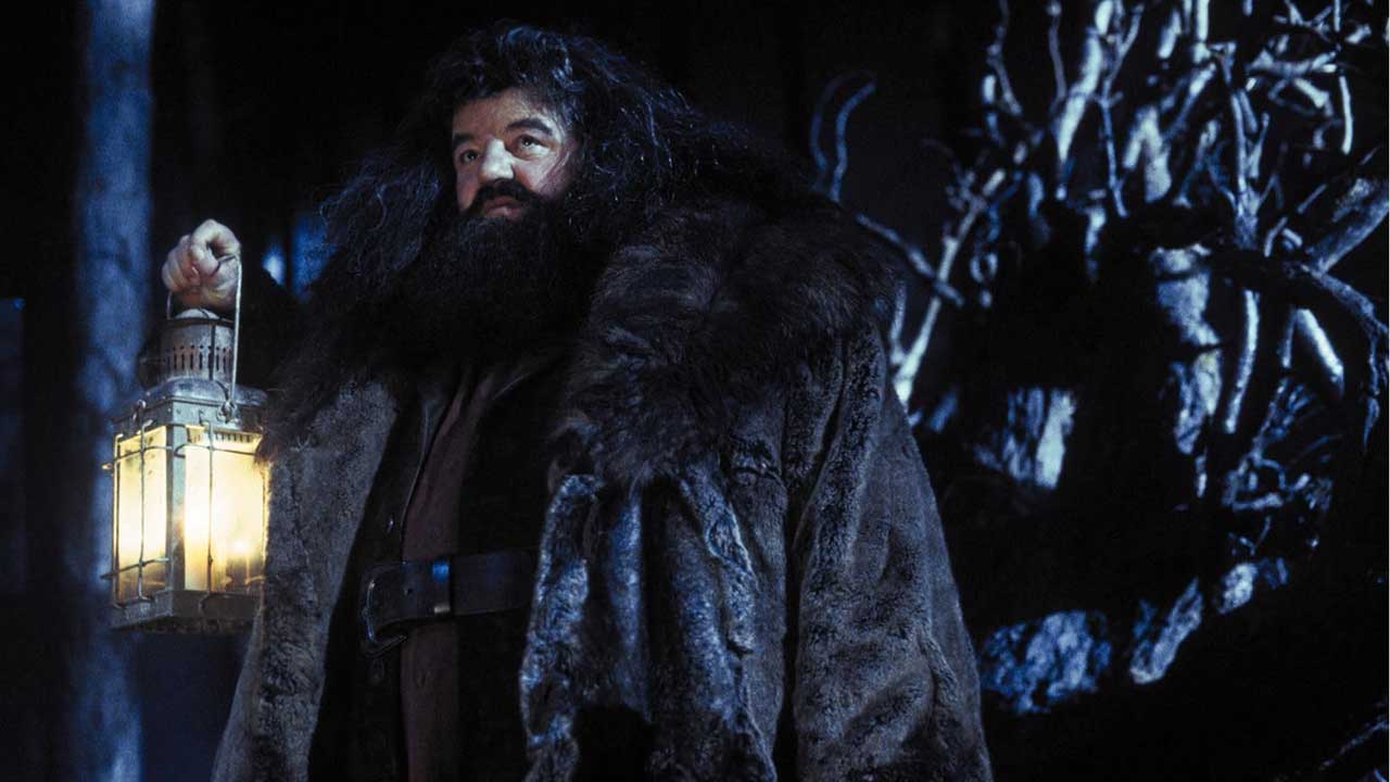 Robbie Coltrane como Hagrid en Harry Potter