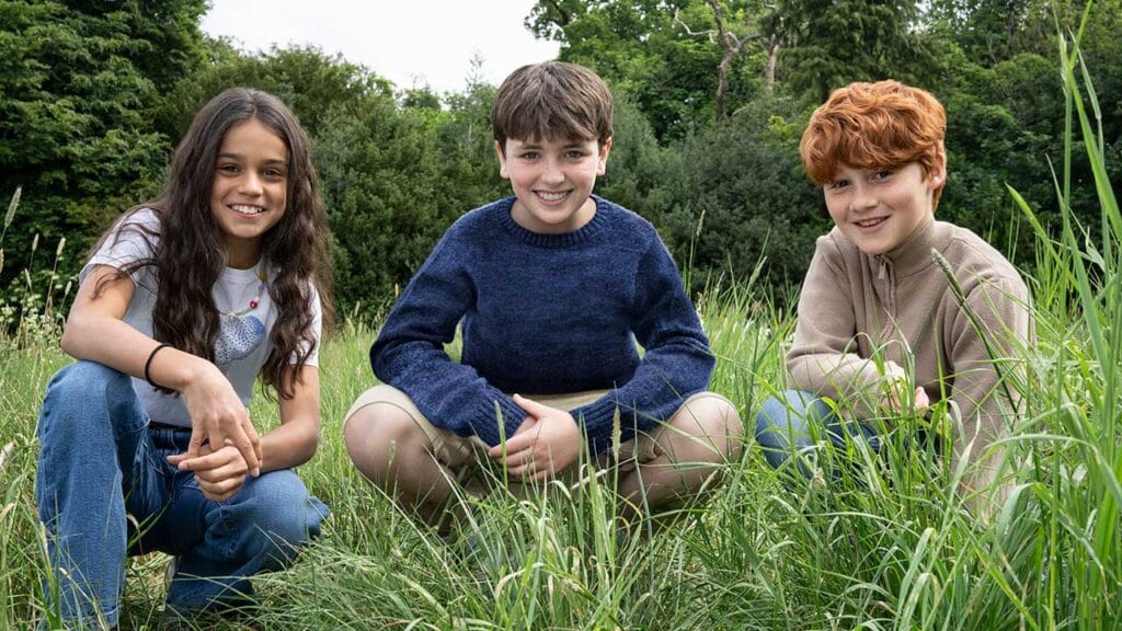 Reparto serie Harry Potter, Harry, Hermione y Ron