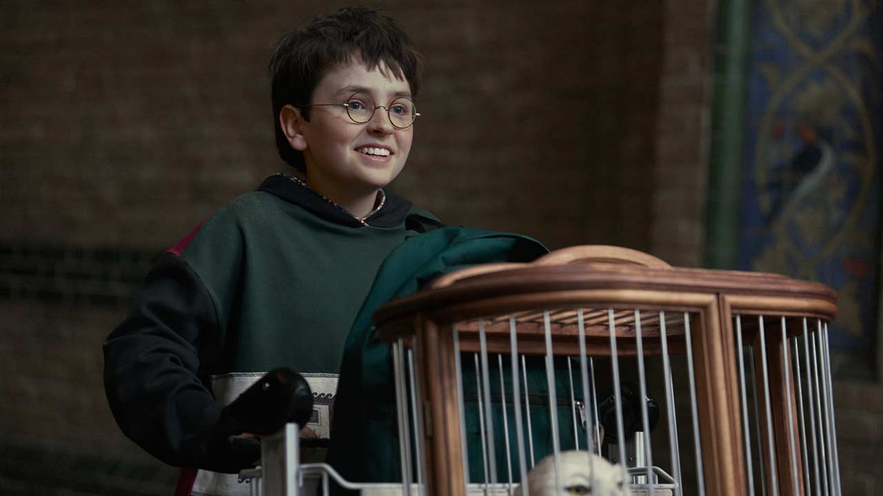 Dominic McLaughlin como Harry Potter en la serie de HBO